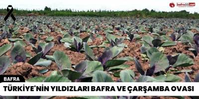 Türkiye'nin Yıldızları Bafra ve Çarşamba Ovası