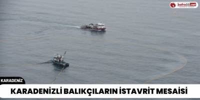 Karadenizli Balıkçıların İstavrit Mesaisi