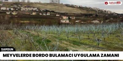 Meyvelerde Bordo Bulamacı Uygulama Zamanı