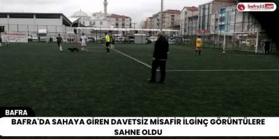 Bafra'da Sahaya Giren Davetsiz Misafir İlginç Görüntülere Sahne Oldu