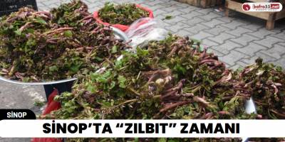 Sinop’ta “Zılbıt” Zamanı