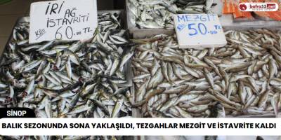 Balık Sezonunda Sona Yaklaşıldı, Tezgahlar Mezgit ve İstavrite Kaldı