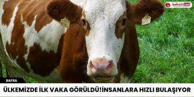 Ülkemizde İlk Vaka Görüldü! İnsanlara Hızlı Bulaşıyor