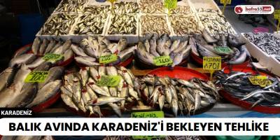 Balık Avında Karadeniz'i Bekleyen Tehlike