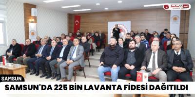 Kavak'ta 225 Bin Lavanta Fidesi Dağıtıldı