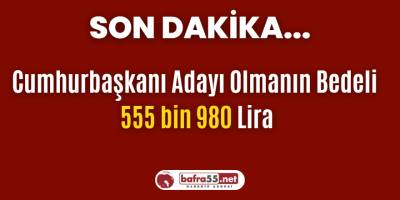 Cumhurbaşkanı Adayı Olmanın Bedeli  555 bin 980 Lira