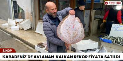 Karadeniz'de Avlanan  Kalkan Rekor Fiyata Satıldı