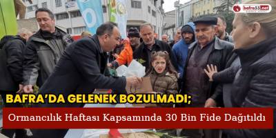 Bafra'da Ormancılık Haftası Kapsamında 30 Bin Fide Dağıtıldı