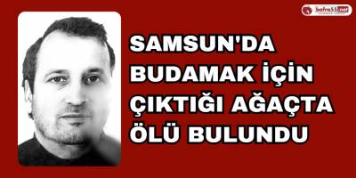 Samsun'da Budamak için çıktığı ağaçta ölü bulundu