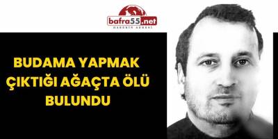 Budama Yapmak Çıktığı Ağaçta Ölü Bulundu