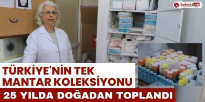 Türkiye'nin Tek Mantar Koleksiyonu: 25 Yılda Doğadan Toplandı