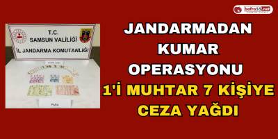 Jandarmadan Kumar Operasyonu: 1'i Muhtar 7 Kişiye Ceza Yağdı