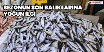 Sezonun son balıklarına yoğun ilgi