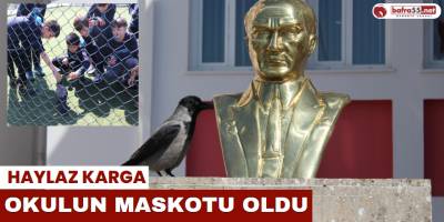 Haylaz Karga, Okulun Maskotu Oldu