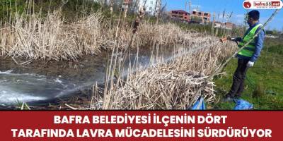 Bafra Belediyesi İlçenin Dört Tarafında Lavra Mücadelesini Sürdürüyor