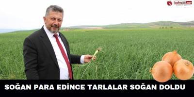 Soğan Para Edince Tarlalar Soğan Doldu