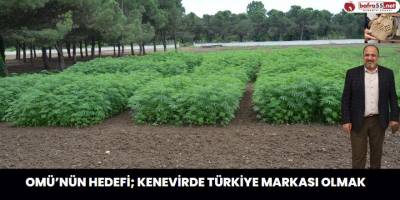 OMÜ’nün Hedefi; Kenevirde Türkiye Markası Olmak