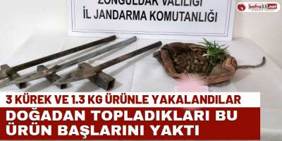 Doğadan Topladıkları Bu Ürün Başlarını Yaktı