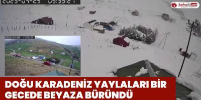 Doğu Karadeniz Yaylaları Bir Gecede Beyaza Büründü