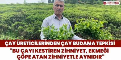 Çay Üreticilerinden Çay Budama Tepkisi