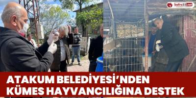Atakum Belediyesi’nden Kümes Hayvancılığına Destek