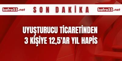 Uyuşturucu ticaretinden 3 kişiye 12,5'ar yıl hapis