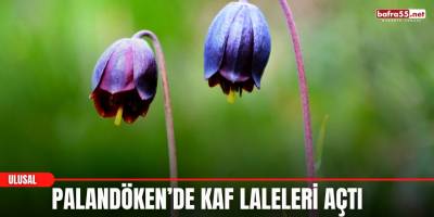 Palandöken’de Kaf Laleleri Açtı