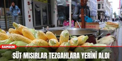 Süt Mısırlar Tezgahlara Yerini Aldı