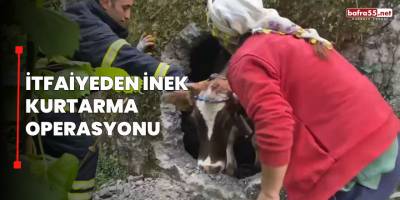 İtfaiyeden İnek Kurtarma Operasyonu