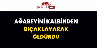 Ağabeyini Kalbinden Bıçaklayarak Öldürdü