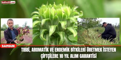 Tıbbi, Aromatik ve Endemik Bitkileri Üretmek İsteyen Çiftçilere 10 Yıl Alım Garantisi