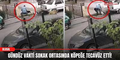 Gündüz vakti sokak ortasında köpeğe tecavüz etti!