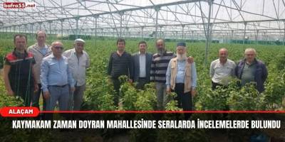 Alaçam Kaymakamı Zaman Doyran Köyünde Seraları İnceledi