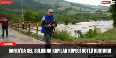 Bafra’da Sel Sularına Kapılan Köpeği Köylü Kurtardı