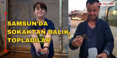 Samsun'da Sokaktan Balık Topladılar