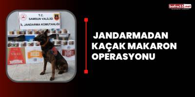 Samsun'da Jandarmadan Kaçak Makaron Operasyonu