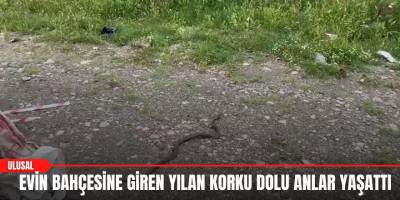 Evin Bahçesine Giren Yılan Korku Dolu Anlar Yaşattı