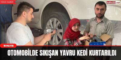 19 Mayıs'da Otomobilde sıkışan yavru kedi kurtarıldı