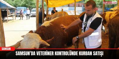 Samsun’da Veteriner Kontrolünde Kurban Satışı