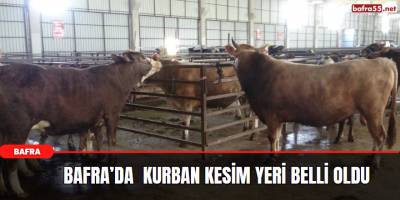 Bafra’da  Kurban Kesim Yeri Belli Oldu
