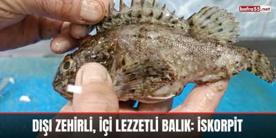 Dışı Zehirli, İçi Lezzetli Balık: İskorpit