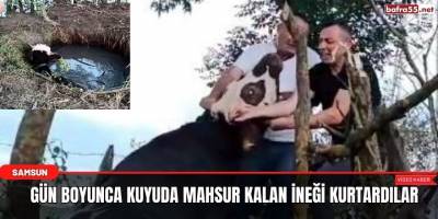 Gün boyunca kuyuda mahsur kalan ineği kurtardılar