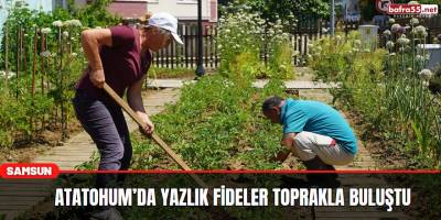 AtaTohum’da yazlık fideler toprakla buluştu