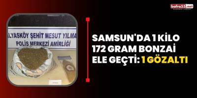 Samsun'da 1 kilo 172 gram bonzai ele geçti: 1 gözaltı