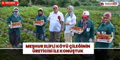 Meşhur Elifli Köyü Çileğinin Üreticisi İle Konuştuk