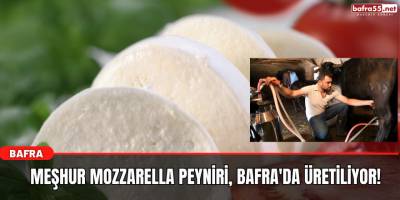 Meşhur Mozzarella Peyniri Bafra'da Üretiliyor!