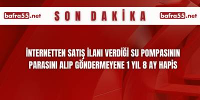 İnternetten Satış İlanı Verdiği Su Pompasının Parasını Alıp Göndermeyene 1 Yıl 8 Ay Hapis