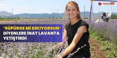 ‘Süpürge mi dikiyorsun?’ diyenlere inat lavanta yetiştirdi