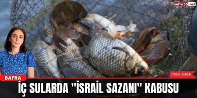 İç sularda "İsrail Sazanı" kabusu