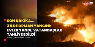 3 İlde Orman Yangını: Evler Yandı, Vatandaşlar Tahliye Edildi